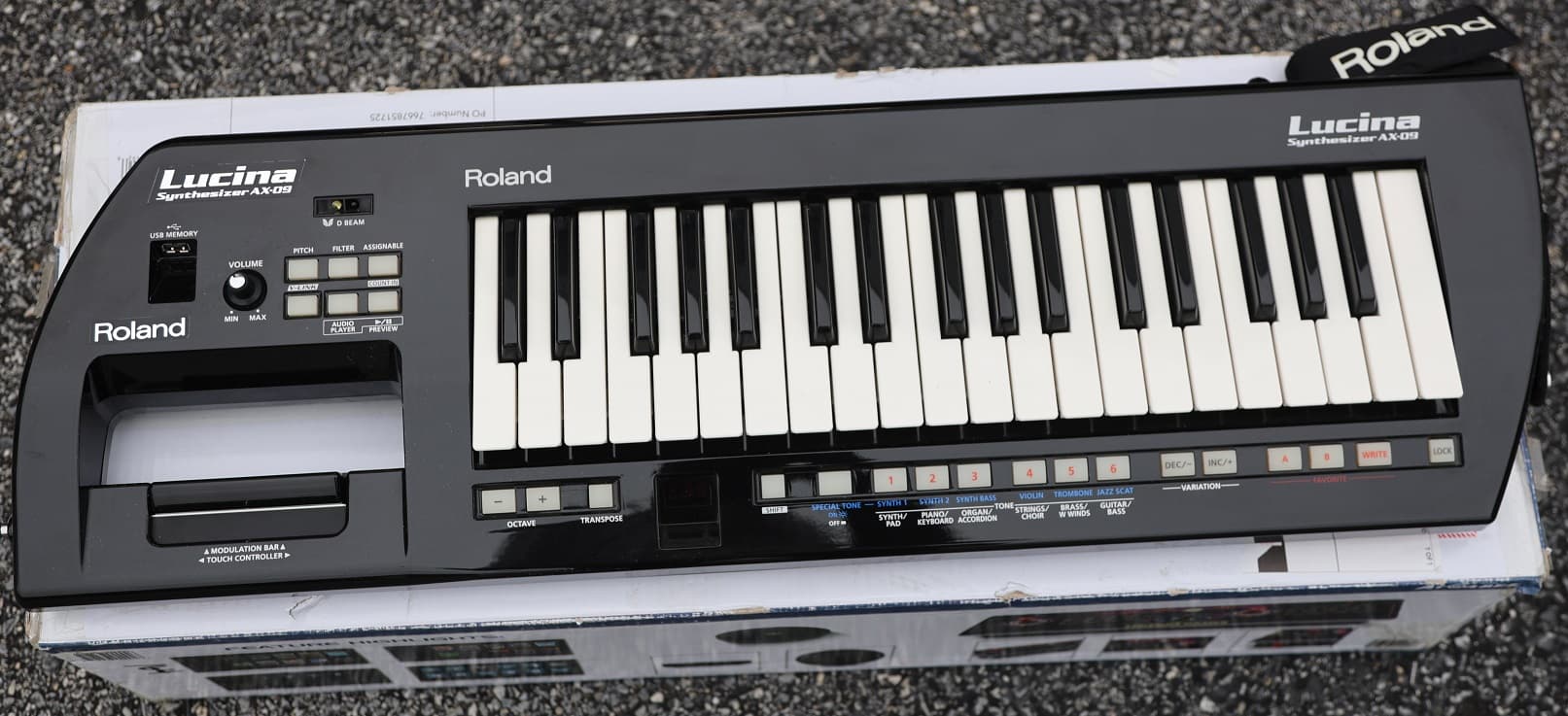 ROLAND AX-09 Keytar Synthesizer - AjamSonic | Custom Styles &amp 