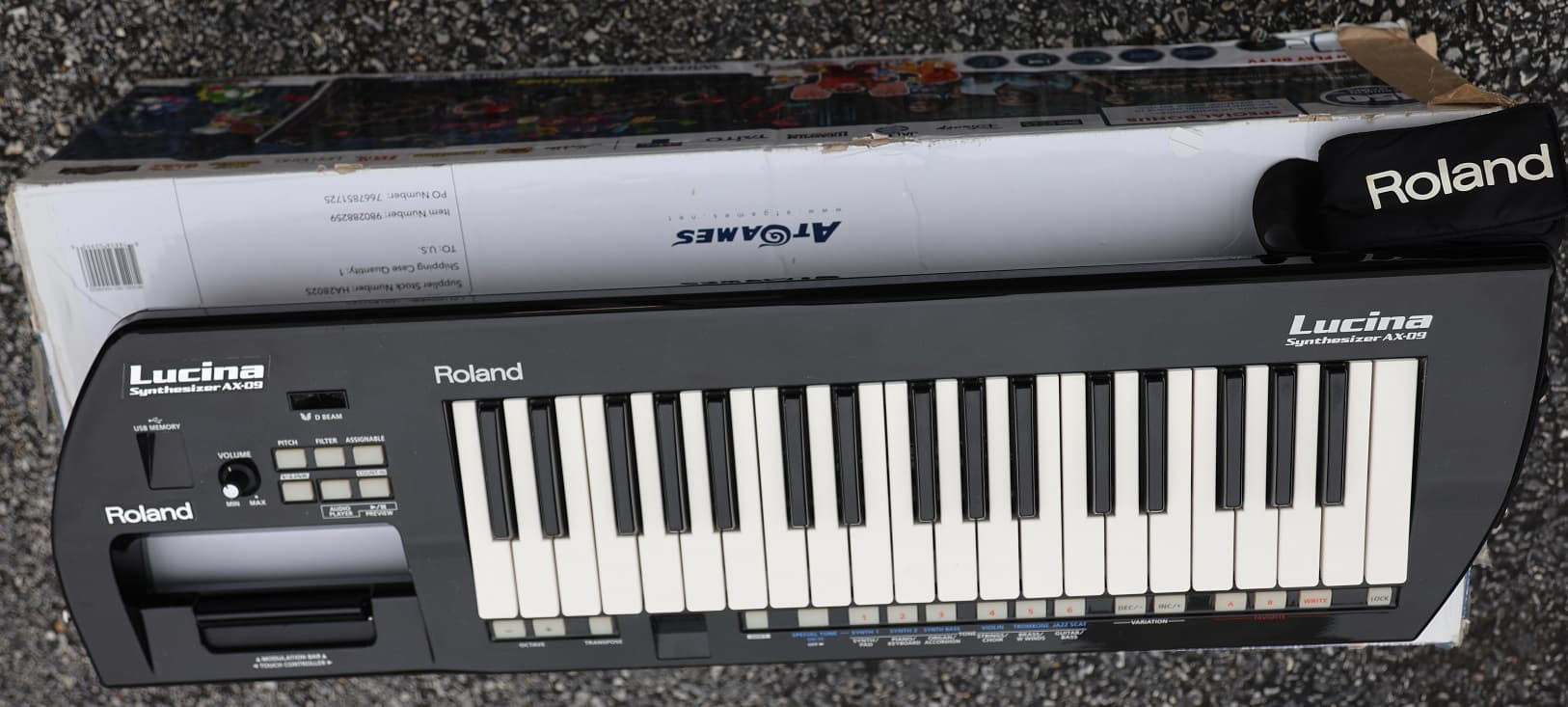 ROLAND AX-09 Keytar Synthesizer - AjamSonic | Custom Styles &amp 